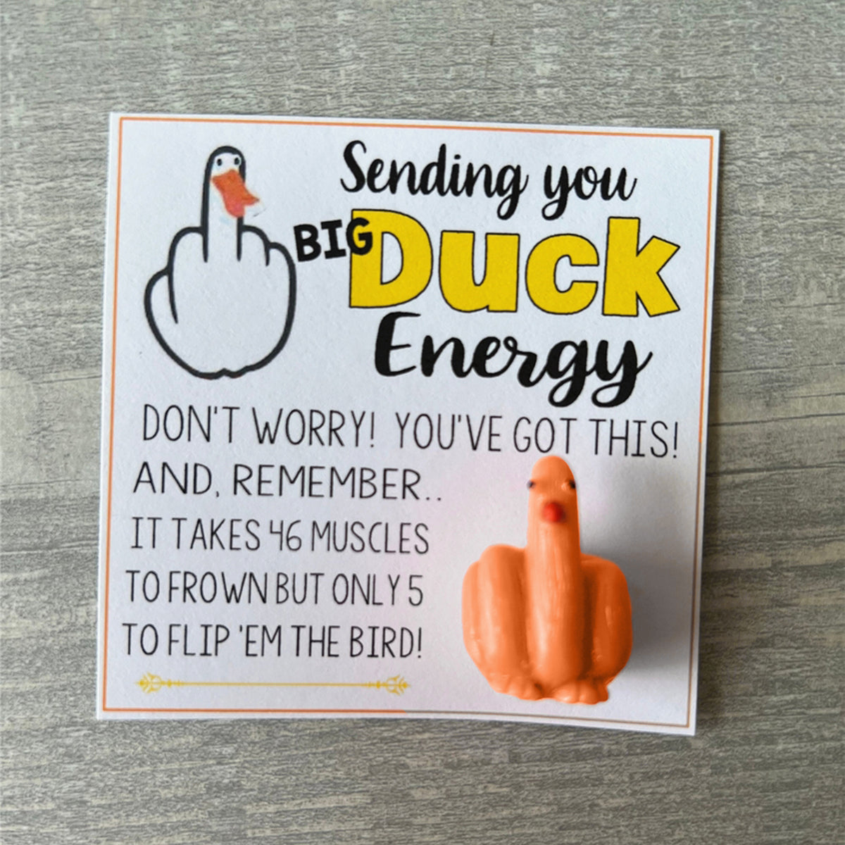 š¤£Funny Middle Finger Duck Lucky Charm Giftš