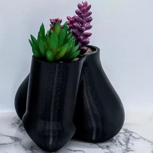 🤣 Funny P*nis Planter Pot - 🔥🔥BUY 2 Free Shipping
