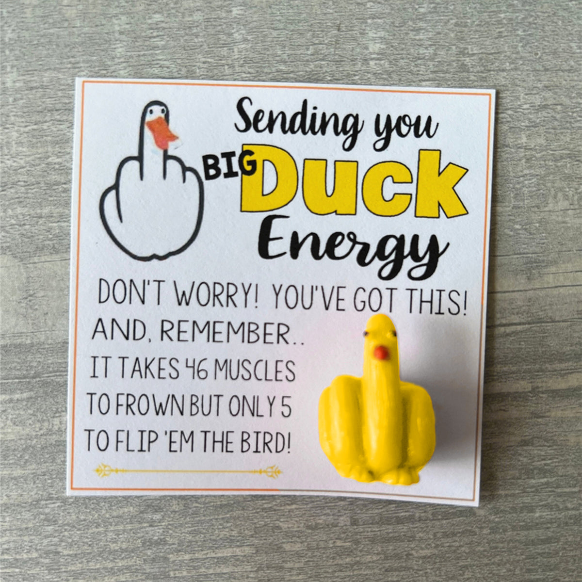 🤣Funny Middle Finger Duck Lucky Charm Gift🎁