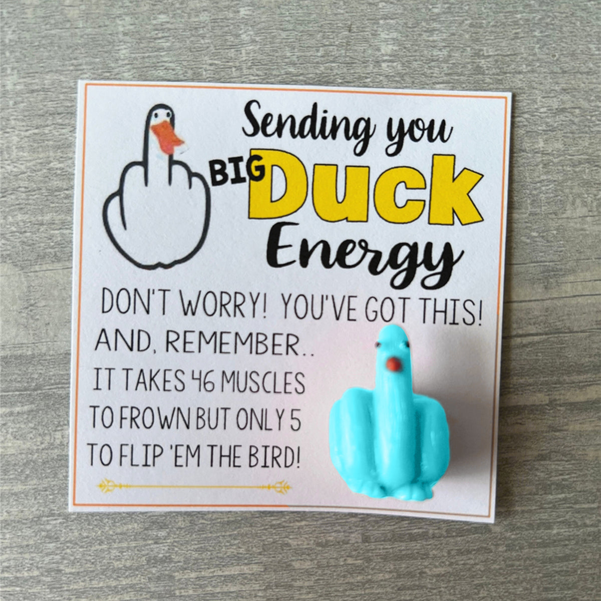 🤣Funny Middle Finger Duck Lucky Charm Gift🎁