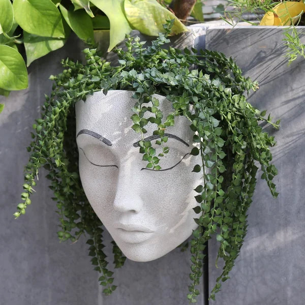 👹 Halloween Hot Sale 49% OFF🎁Plant Faces🤡