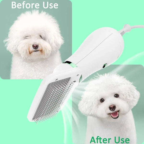 🐶Brushy Air: 2 In 1 Dog Dryer（Send universal conversion head）