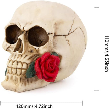 🔥Last Day Sale-💀Skull Statue for Home Decor