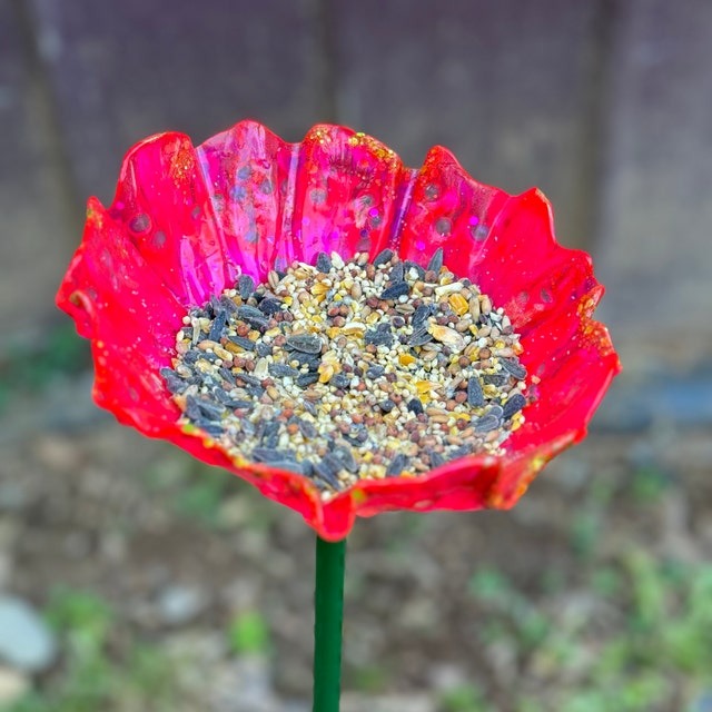 🌺🌈 Bird Feeder Organic Flower Seed Container