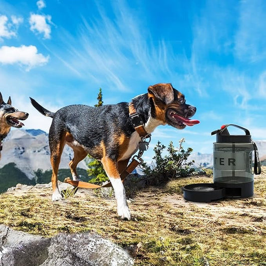 🐶77oz Dog Travel Water Bottle (🔥🔥BUY 2 FREE SHIPPING)