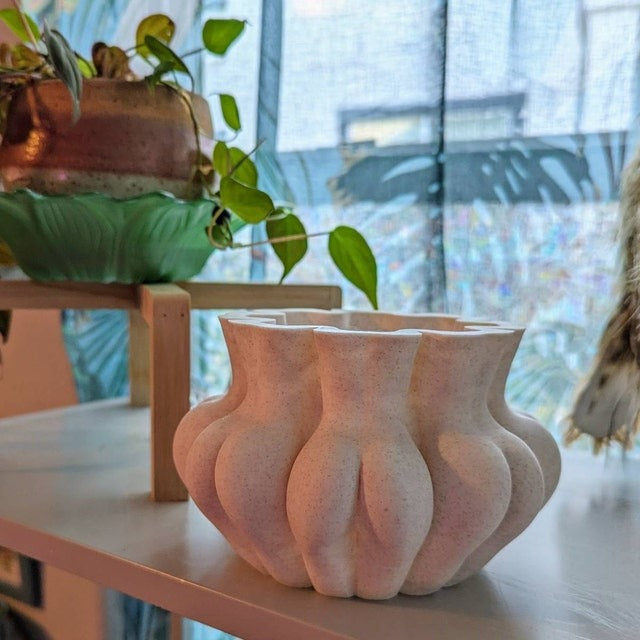 🤣 Funny Multifaced Butt Planter