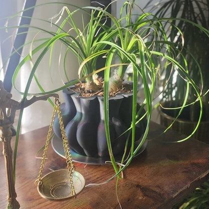 🤣 Funny Multifaced Butt Planter