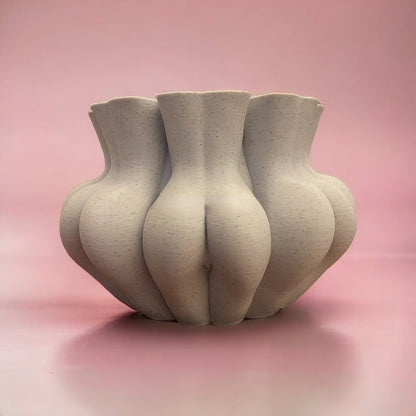 🤣 Funny Multifaced Butt Planter