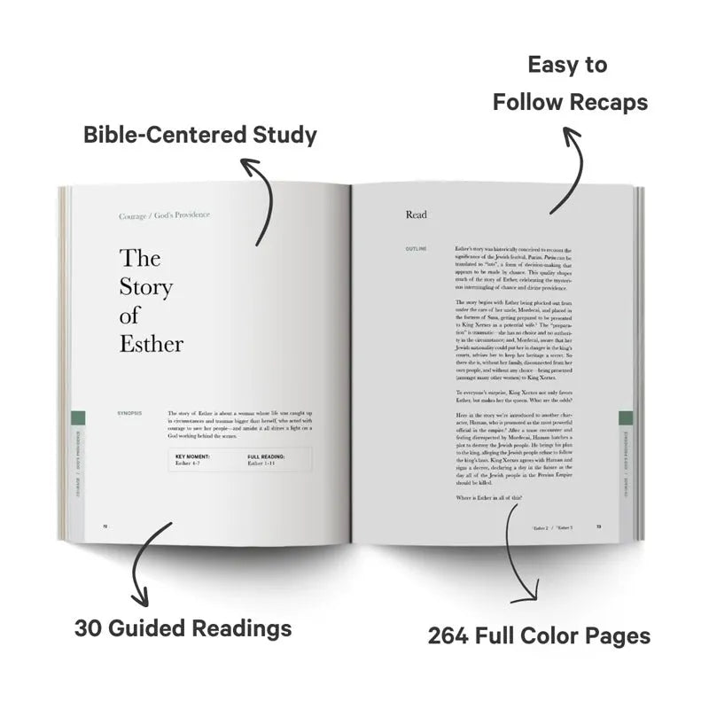 🙏The Good and Beautiful Bible Study✝️