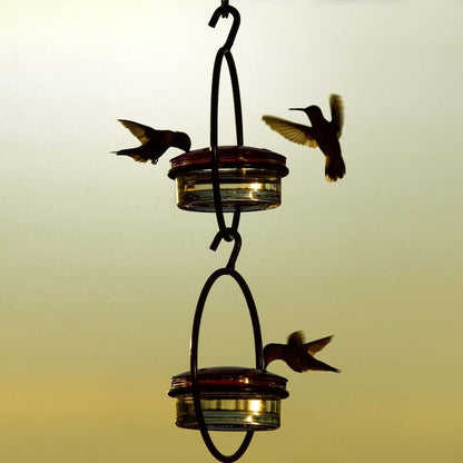 Hummble Bold Hummingbird Feeder