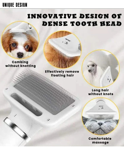 🐶Brushy Air: 2 In 1 Dog Dryer（Send universal conversion head）