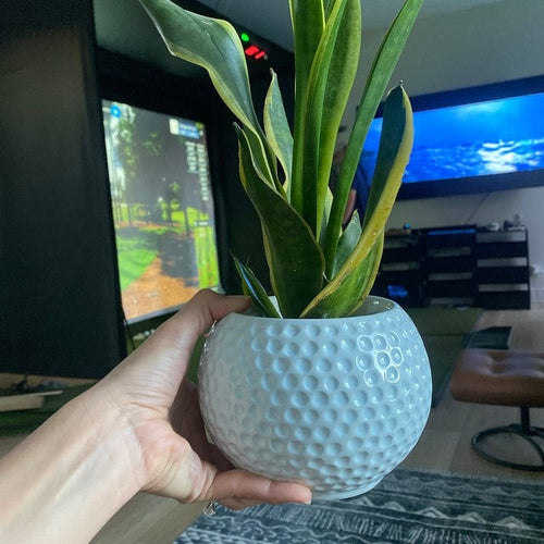 🏀Sports Fan Flower Pot