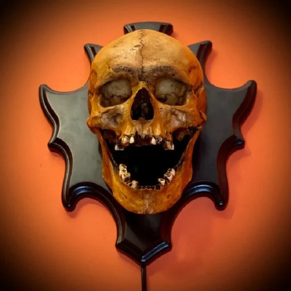 💥Halloween Hot Sale💀Skull lamp“Singing head”night light💥