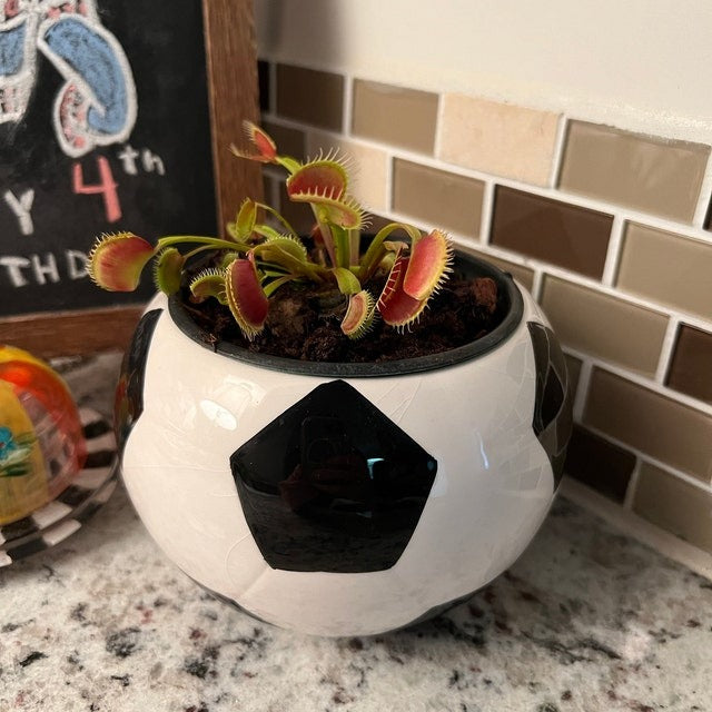 🏀Sports Fan Flower Pot