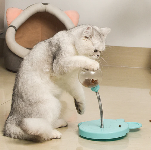 🐱🐶SmartSwing - Interactive Pet Feeder