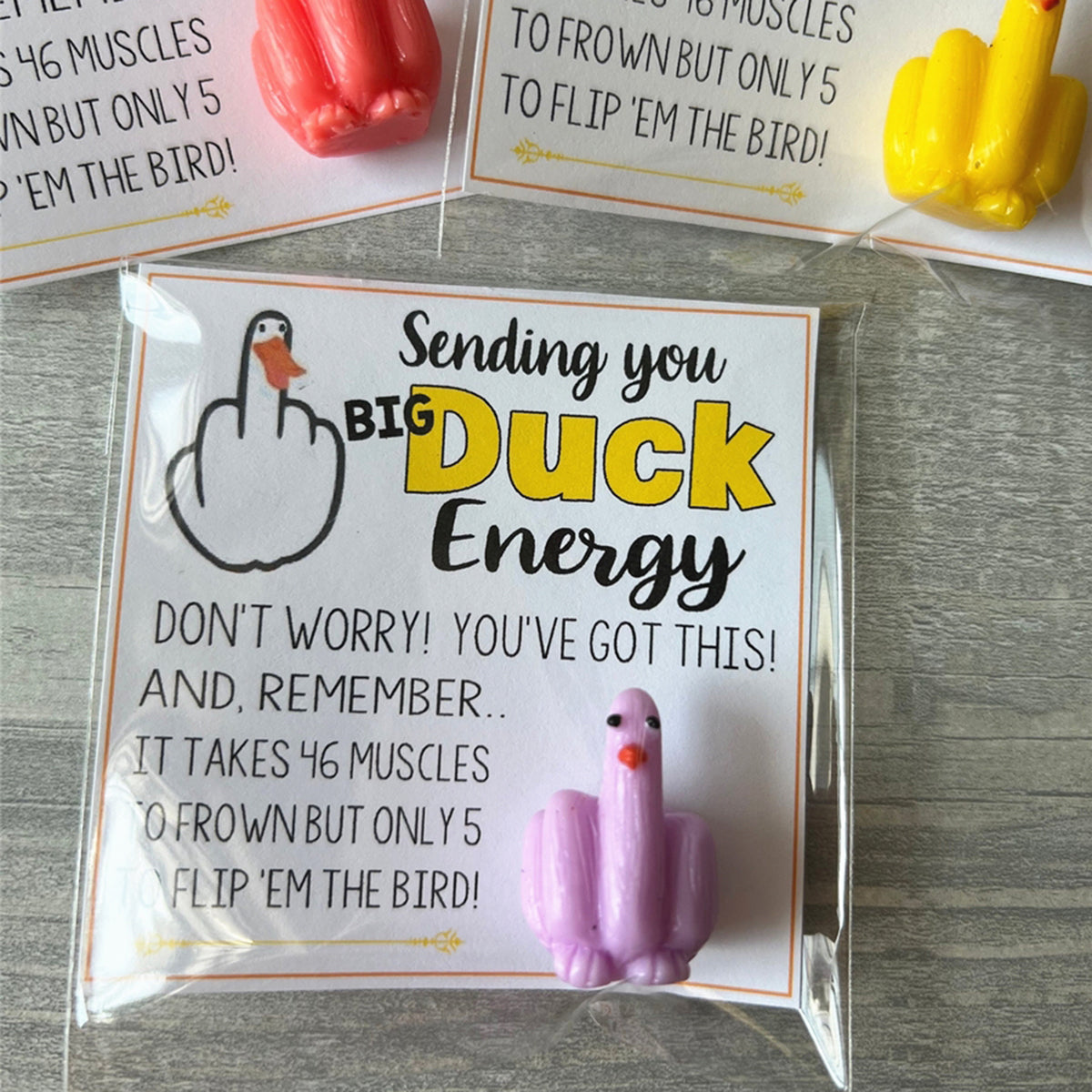 🤣Funny Middle Finger Duck Lucky Charm Gift🎁