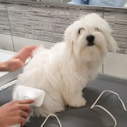 🐶Brushy Air: 2 In 1 Dog Dryer（Send universal conversion head）