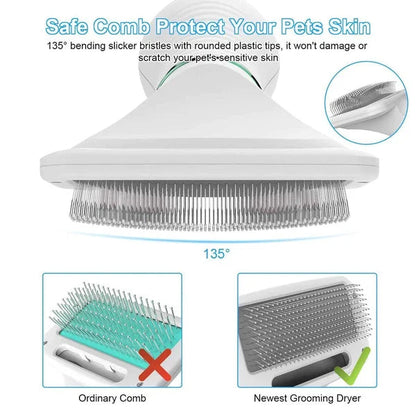 🐶Brushy Air: 2 In 1 Dog Dryer（Send universal conversion head）