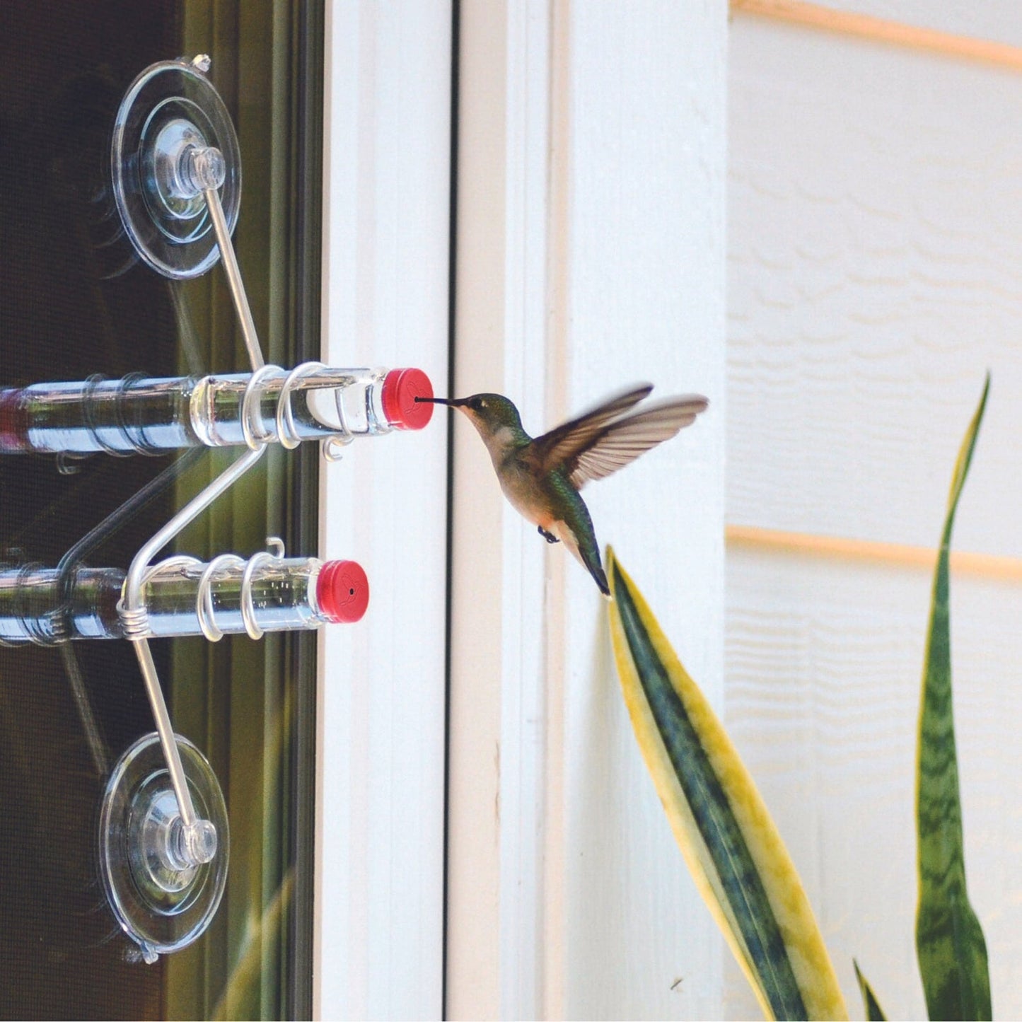 🐦The Geo Feeder | Geometric Window Hummingbird Feeder