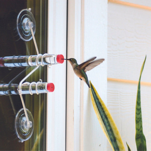 🐦The Geo Feeder | Geometric Window Hummingbird Feeder