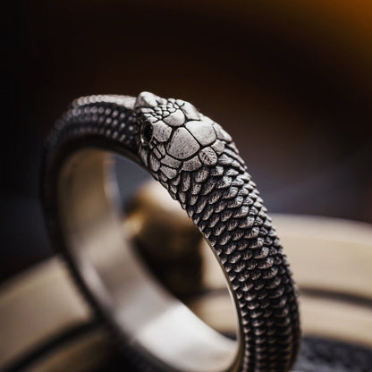 🐍Ouroboros Spin Fidget Ring