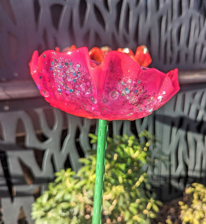 🌺🌈 Bird Feeder Organic Flower Seed Container