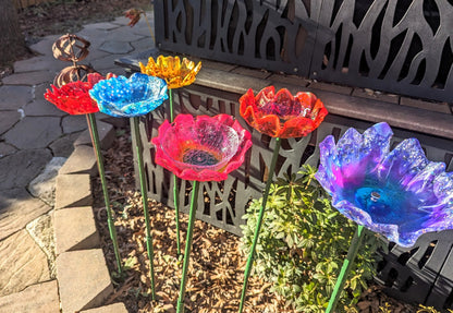 🌺🌈 Bird Feeder Organic Flower Seed Container