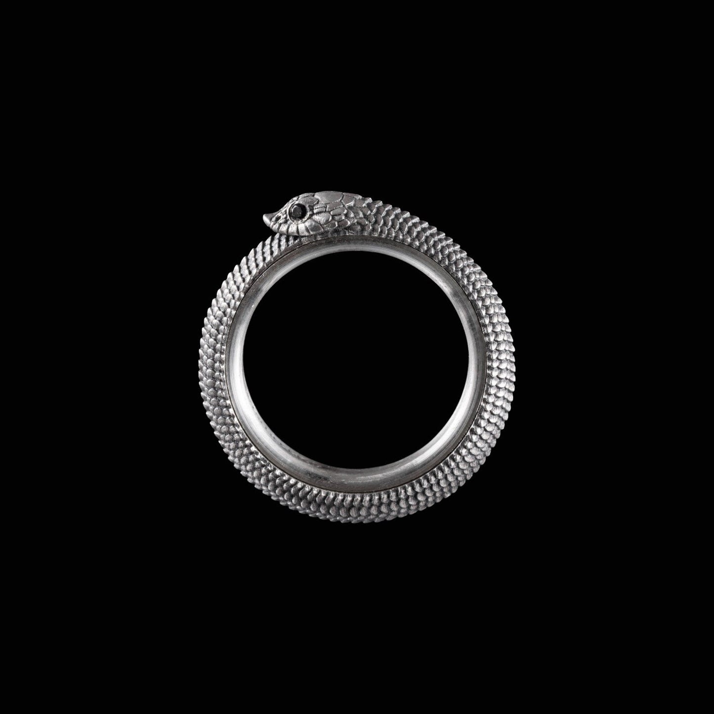 🐍Ouroboros Spin Fidget Ring
