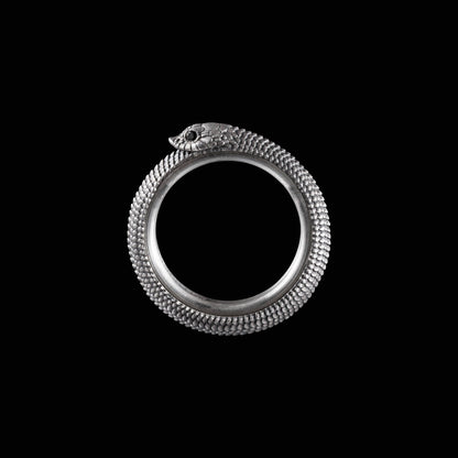 🐍Ouroboros Spin Fidget Ring