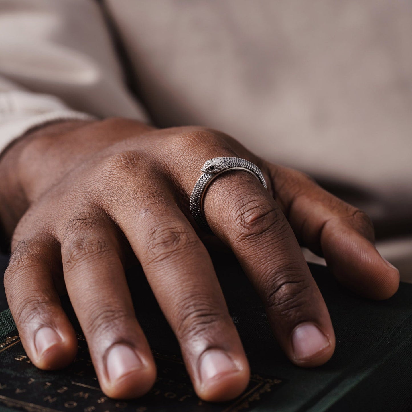 🐍Ouroboros Spin Fidget Ring