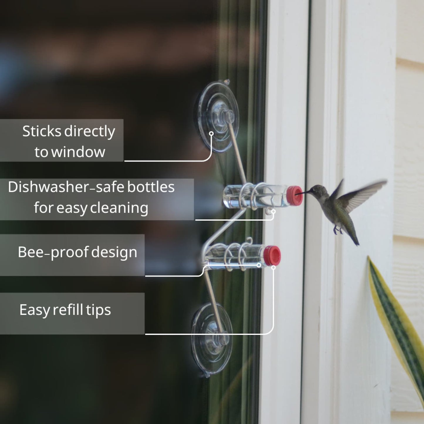🐦The Geo Feeder | Geometric Window Hummingbird Feeder