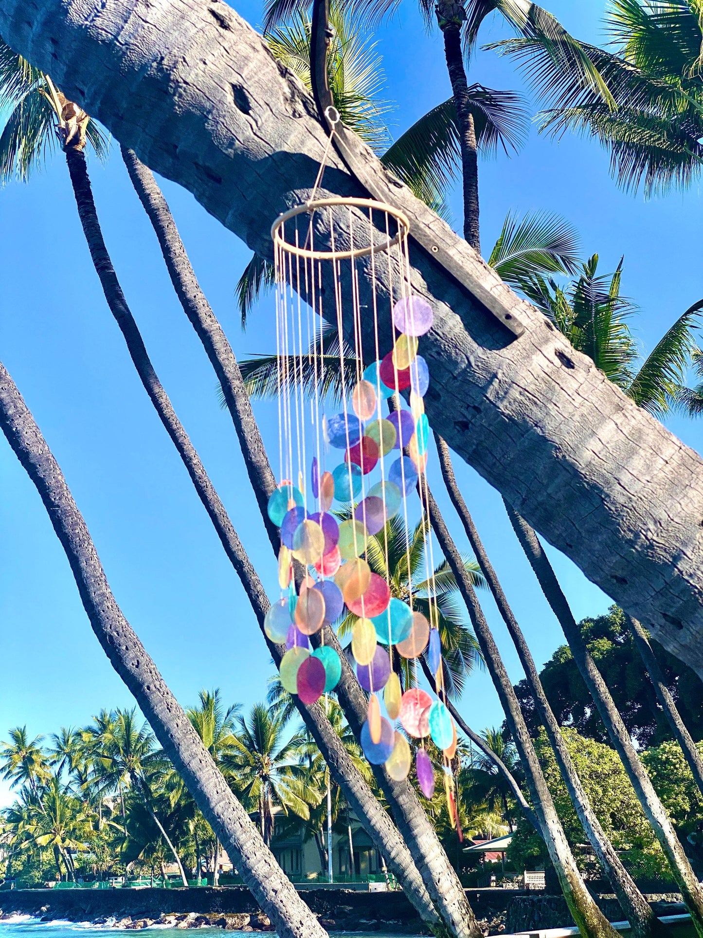 🔥🔥Last Day 49% OFF - 🌈New Capiz Shell Spiral Wind Chime