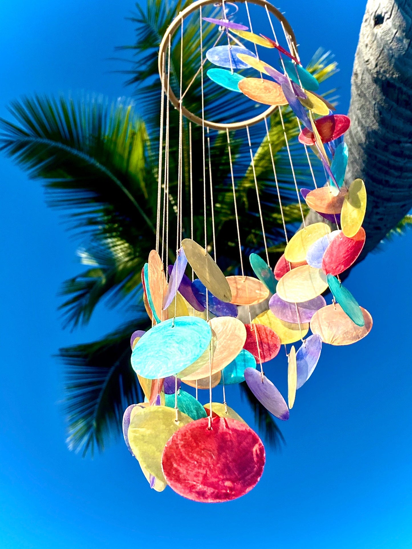 🔥🔥Last Day 49% OFF - 🌈New Capiz Shell Spiral Wind Chime
