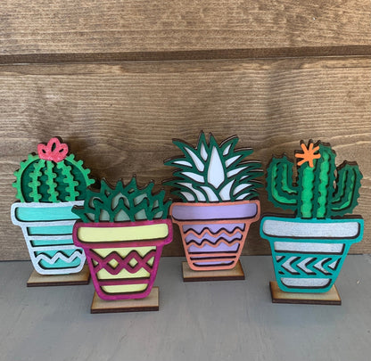 ✨Mini Succulent DIY paint craft kit