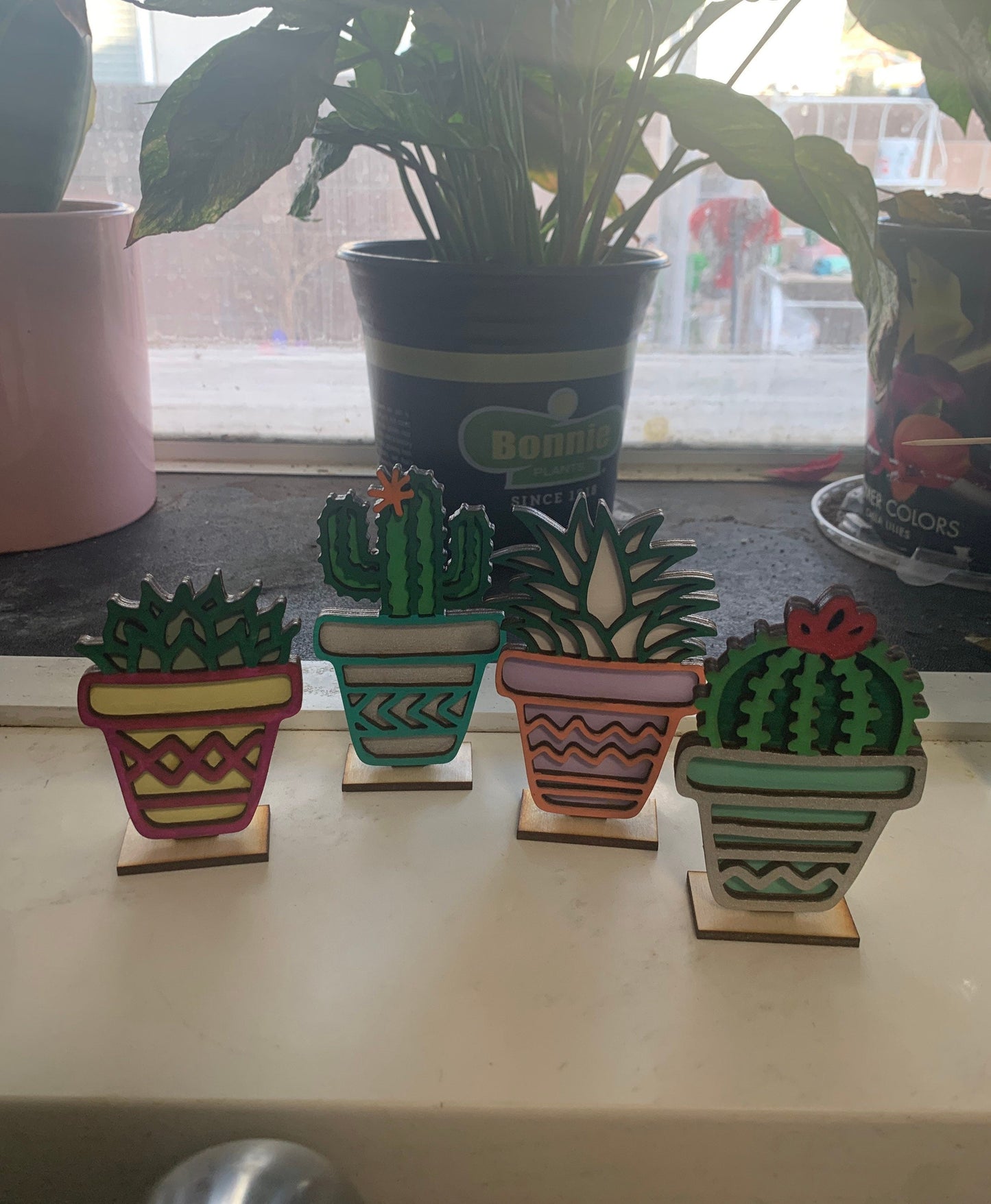 ✨Mini Succulent DIY paint craft kit
