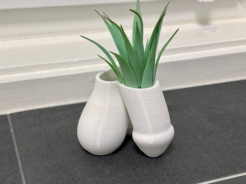 🤣 Funny P*nis Planter Pot - 🔥🔥BUY 2 Free Shipping