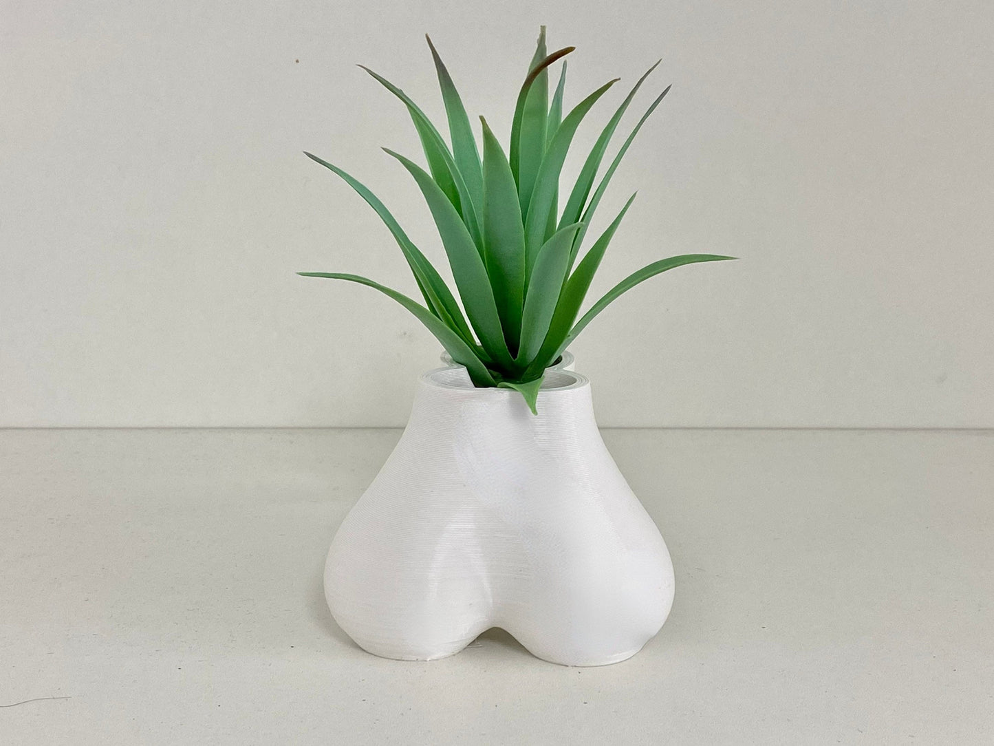 🤣 Funny P*nis Planter Pot - 🔥🔥BUY 2 Free Shipping