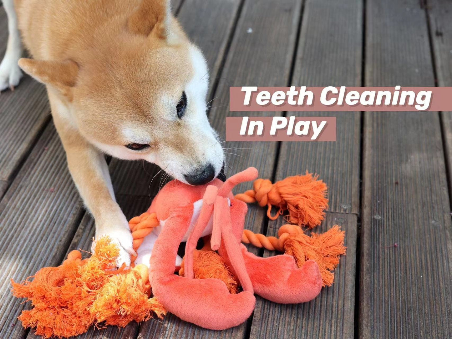 Squeaky Lobster Interactive Toy🐾