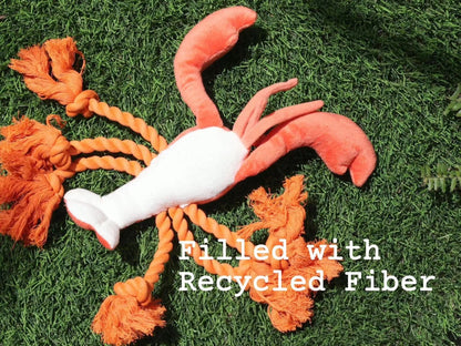 Squeaky Lobster Interactive Toy🐾