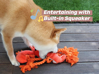 Squeaky Lobster Interactive Toy🐾