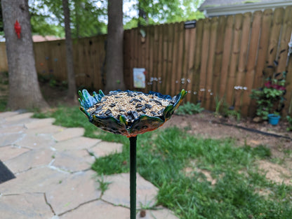 🌺🌈 Bird Feeder Organic Flower Seed Container