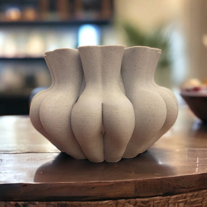 🤣 Funny Multifaced Butt Planter
