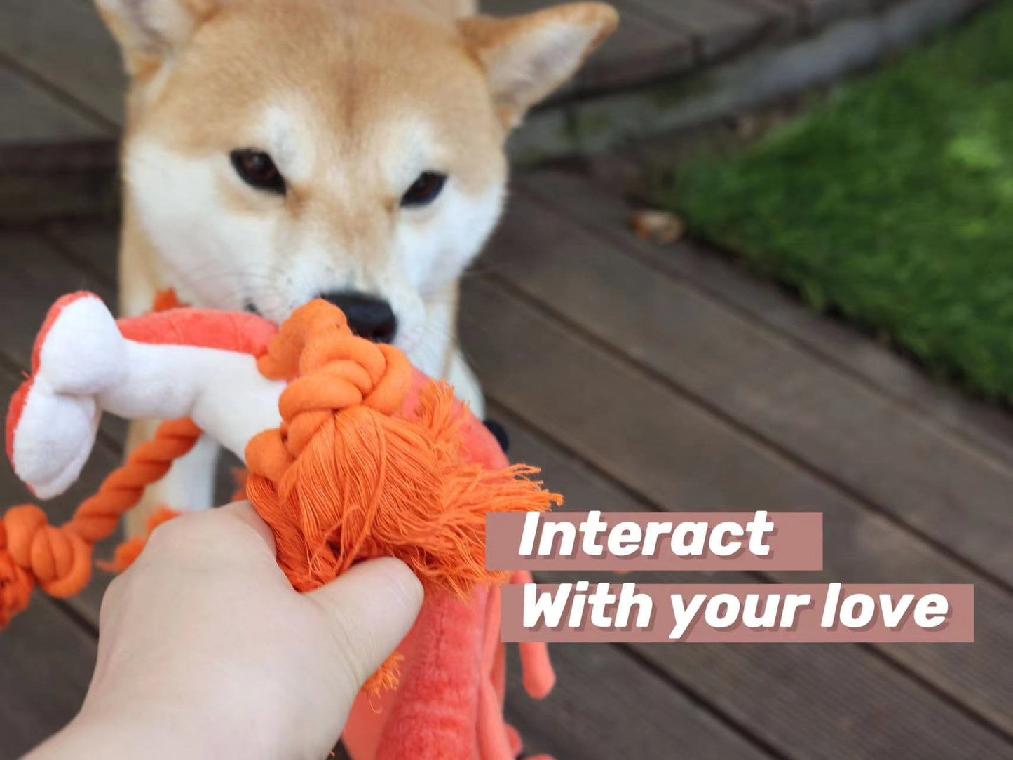 Squeaky Lobster Interactive Toy🐾