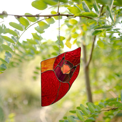 🤣Funny Window Decor- Peeping Red Cardinal🐦
