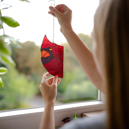 🤣Funny Window Decor- Peeping Red Cardinal🐦