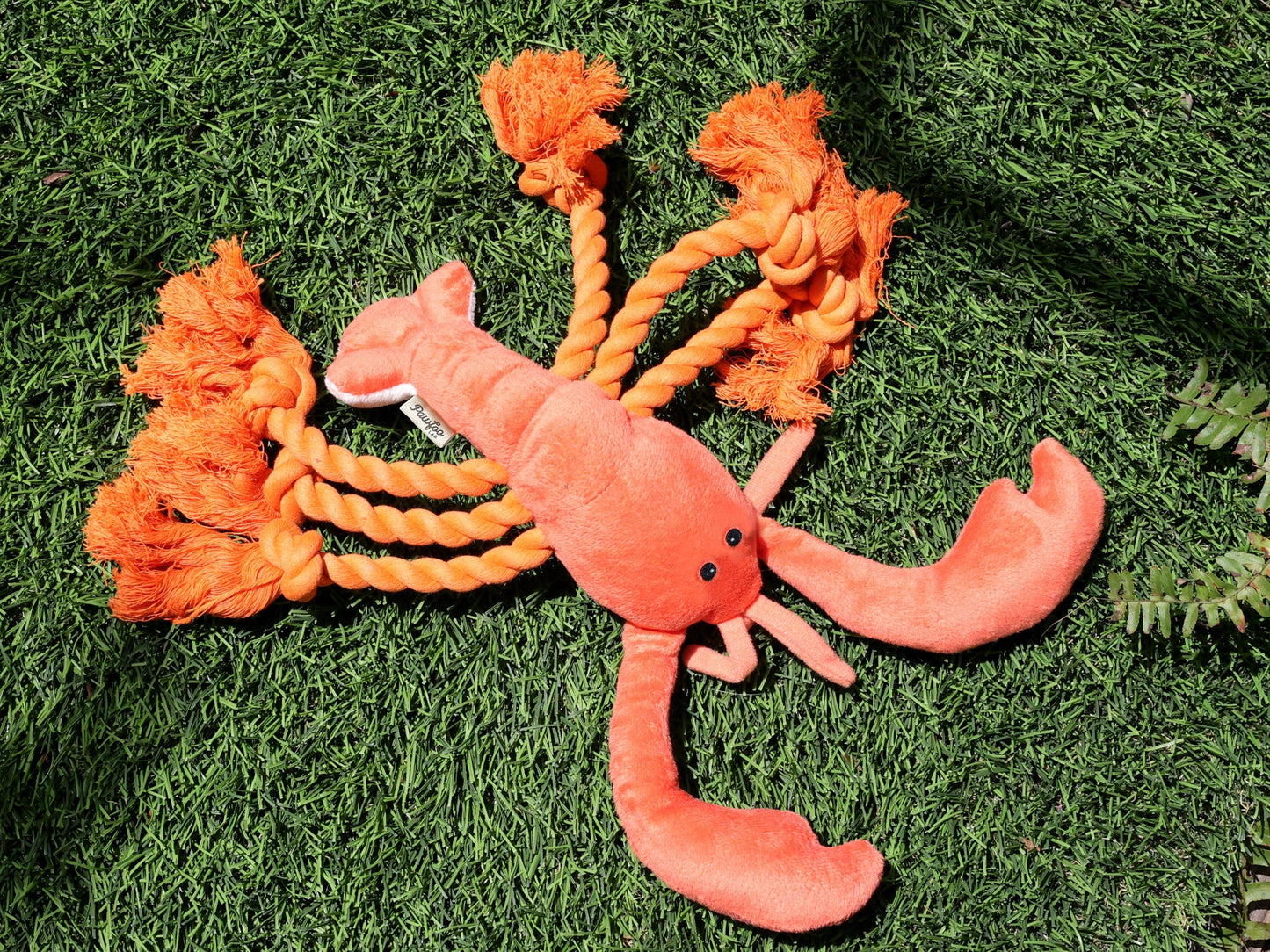 Squeaky Lobster Interactive Toy🐾