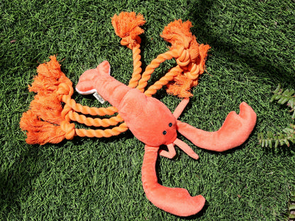 Squeaky Lobster Interactive Toy🐾