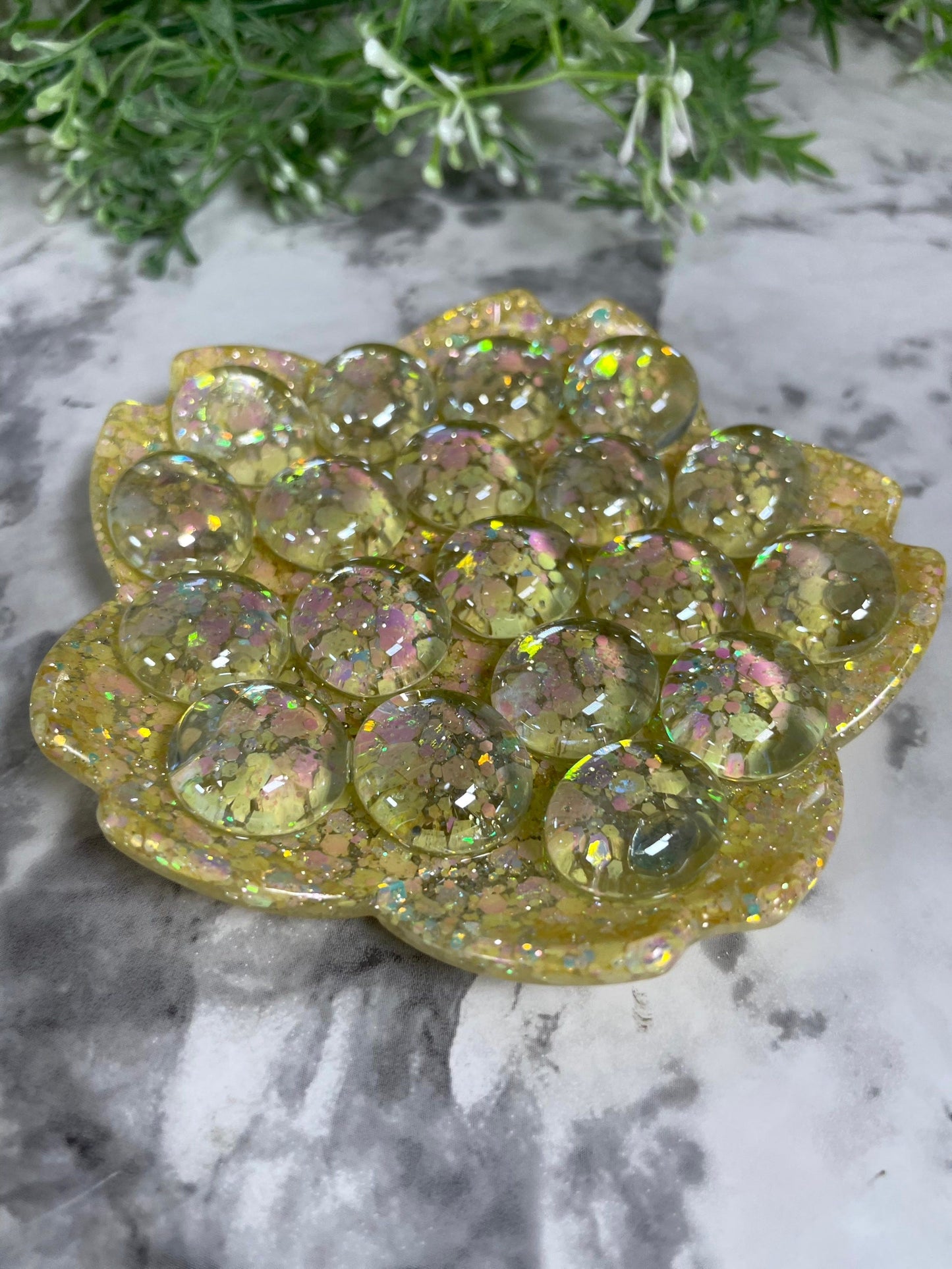 🦋Butterfly Puddler Dish