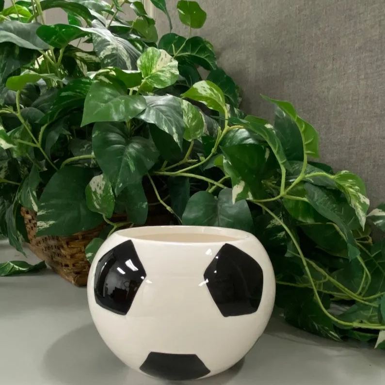🏀Sports Fan Flower Pot
