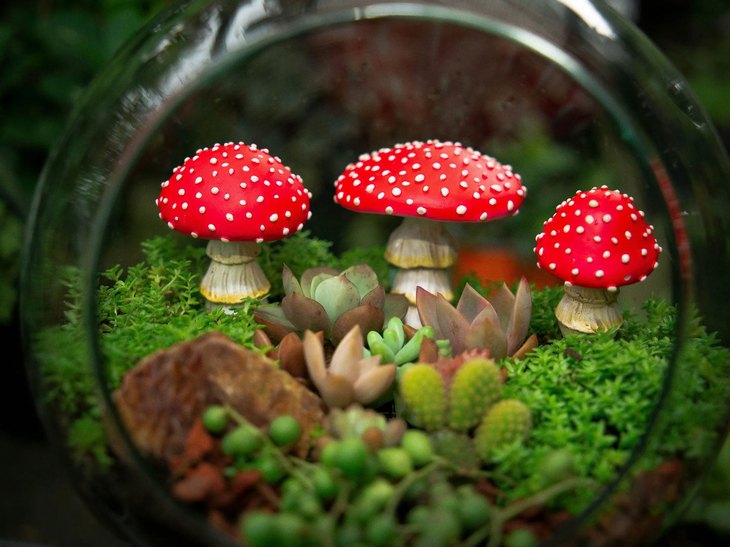🌟🍄Glow in the Dark Mushroom Garden Decor